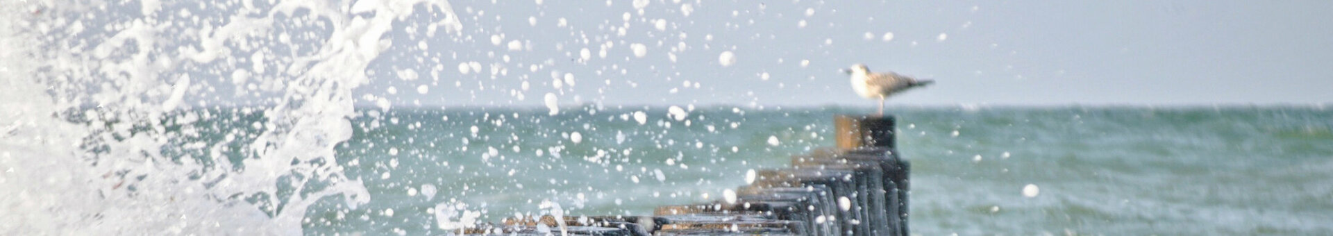 Brandung am Meer Wellen spritzen gegen eine Holzbohlenmole im Meer, mit einer Möwe im Hintergrund.