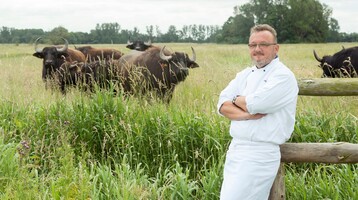 Koch vor einer Wiese mit Rindern Ein Koch in weißer Uniform steht lächelnd vor einer Weide mit Büffeln.
