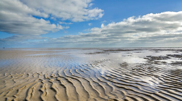 UNESCO Weltnaturerbe Wattenmeer | ATLANTIC Hotel Wilhelmshaven Weitläufiger Sandstrand bei Ebbe mit wellenförmigen Mustern, unter bewölktem Himmel.