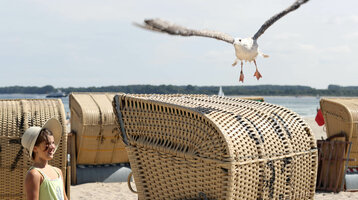 Strand in der Nähe vom ATLANTIC Grand Hotel Travemünde Ein Kind am Strand von Travemünde lächelt neben Strandkörben, während eine Möwe vorbeifliegt.