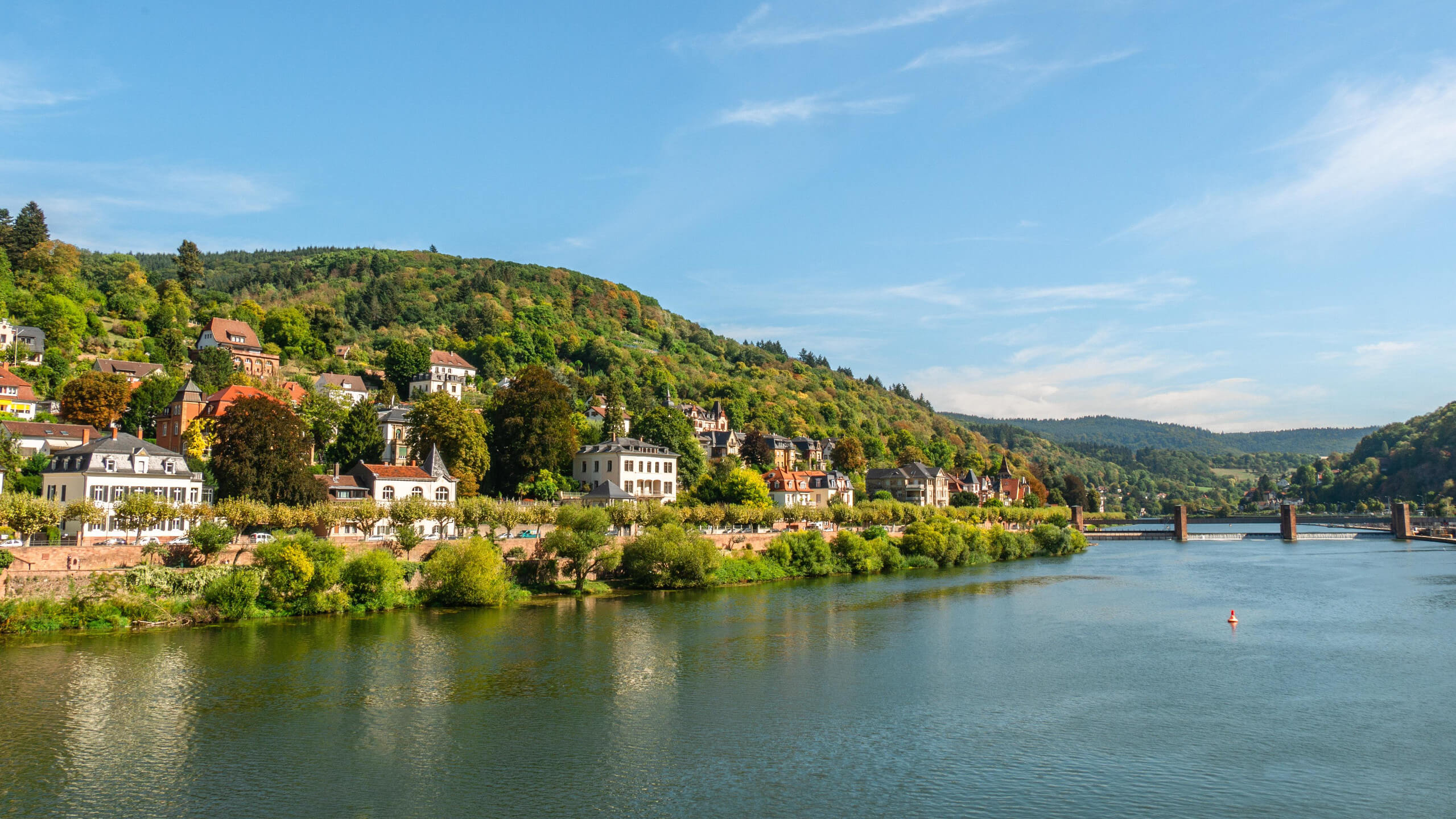 Bootsfahrt durch die Neckar in Heidelberg | ATLANTIC Hotel Heidelberg