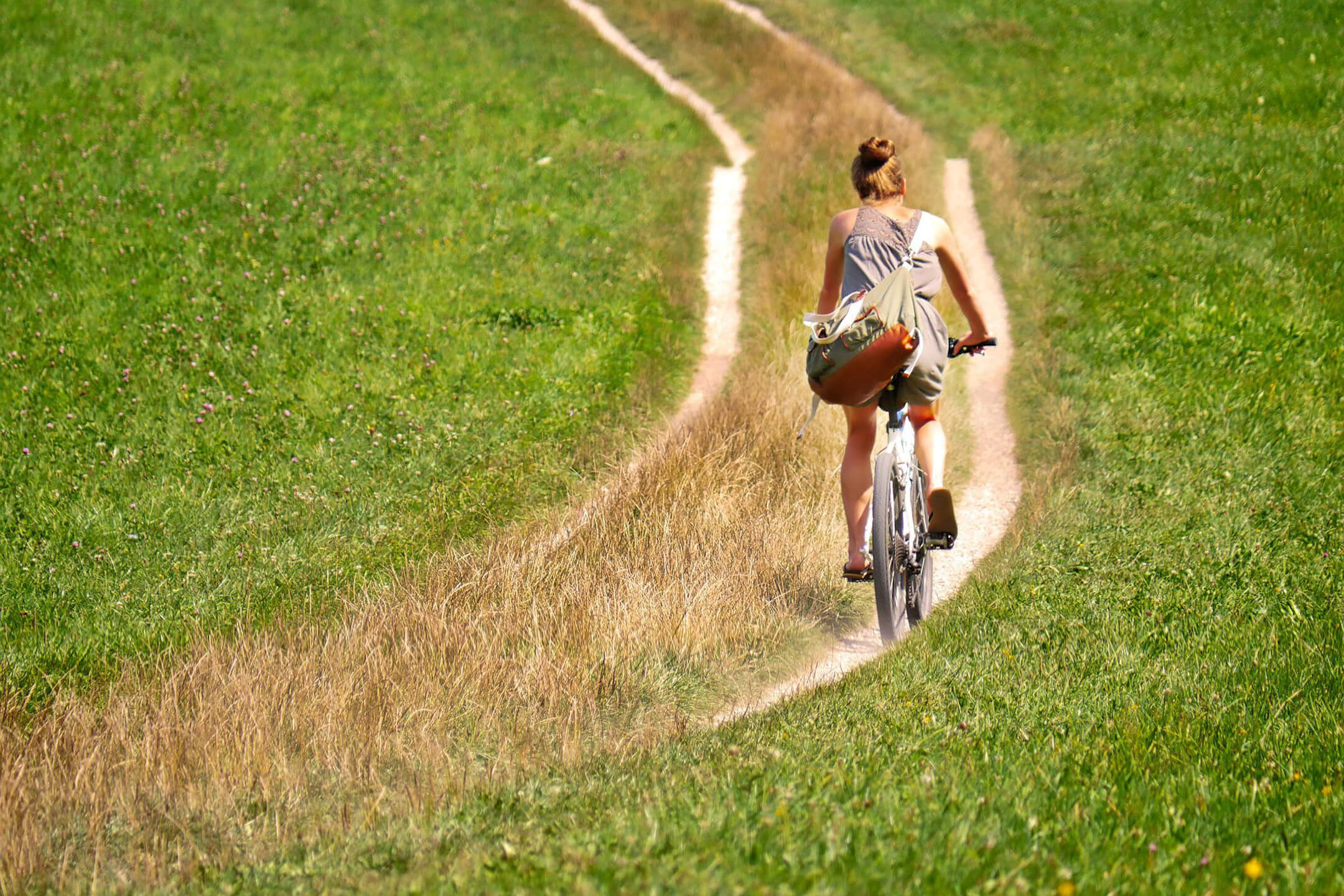bike tour in the ATLANTIC Hotel Sail City Bremerhaven A person is cycling along a narrow path through a green meadow.