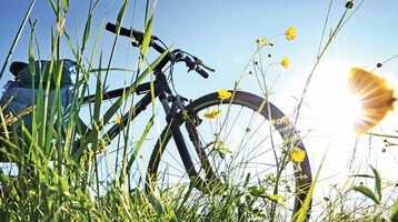 ATLANTIC Hotel Universum Bicycle in tall grass with yellow flowers, in the sunlight against a blue sky.
