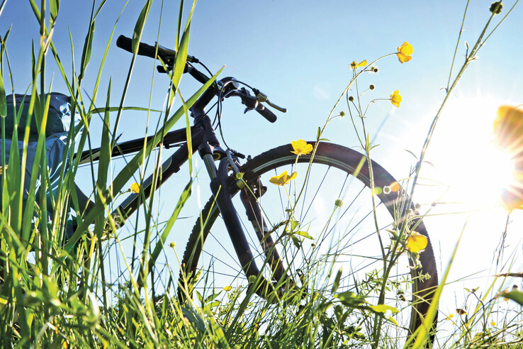ATLANTIC Hotel Universum Bicycle in tall grass with yellow flowers, in the sunlight against a blue sky.