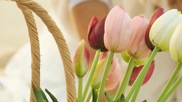 ATLANTIC Hotel Wilhelmshaven Frohe Ostern Angebot Ein Korb mit bunten Tulpen steht auf einer Picknickdecke am Strand.