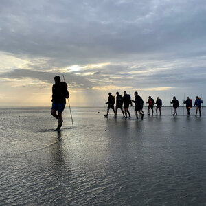 Wadden Sea walks from Schillig and Dangast l ATLANTIC Hotel Wilhelmshaven Group of people walking through the mudflats at sunset, with sticks, against a cloudy sky.