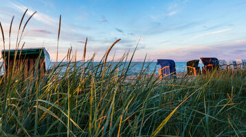 Auszeit am Meer | ATLANTIC Hotel Wilhelmshaven Strandkörbe am Meer bei Sonnenuntergang, umgeben von hohen Gräsern, blauer Himmel im Hintergrund.