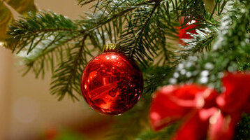 Angebot Wilhelmshavener Weihnachtszauber | ATLANTIC Hotel Wilhelmshaven Roter Weihnachtsbaumschmuck und Schleifen an einem grünen Tannenzweig, festlich dekoriert.