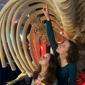 Whale at the visitor's center | UNESCO Weltnaturerbe Wattenmeer Two children look at a large whale skeleton in a museum, one person points upwards with interest.