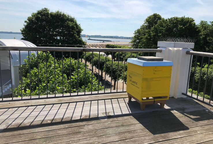 Bee-Rent ATLANTIC Grand Hotel Travemünde Yellow beehive on a wooden terrace with a view of trees and the sea in the background.